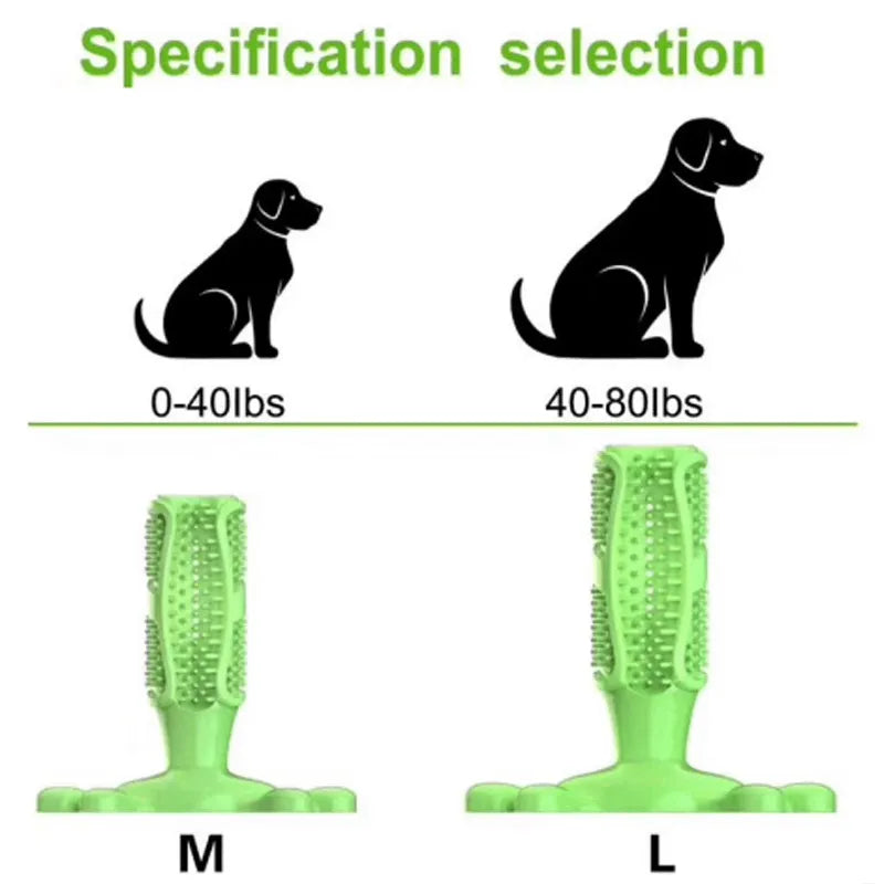 Toothbrush & Toy