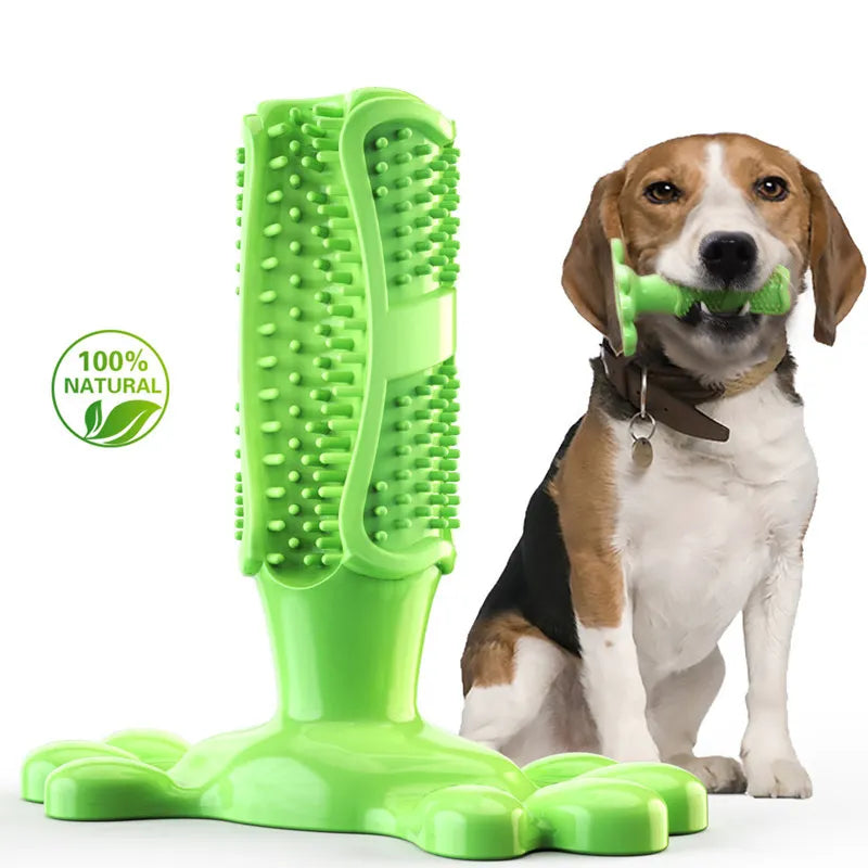 Toothbrush & Toy