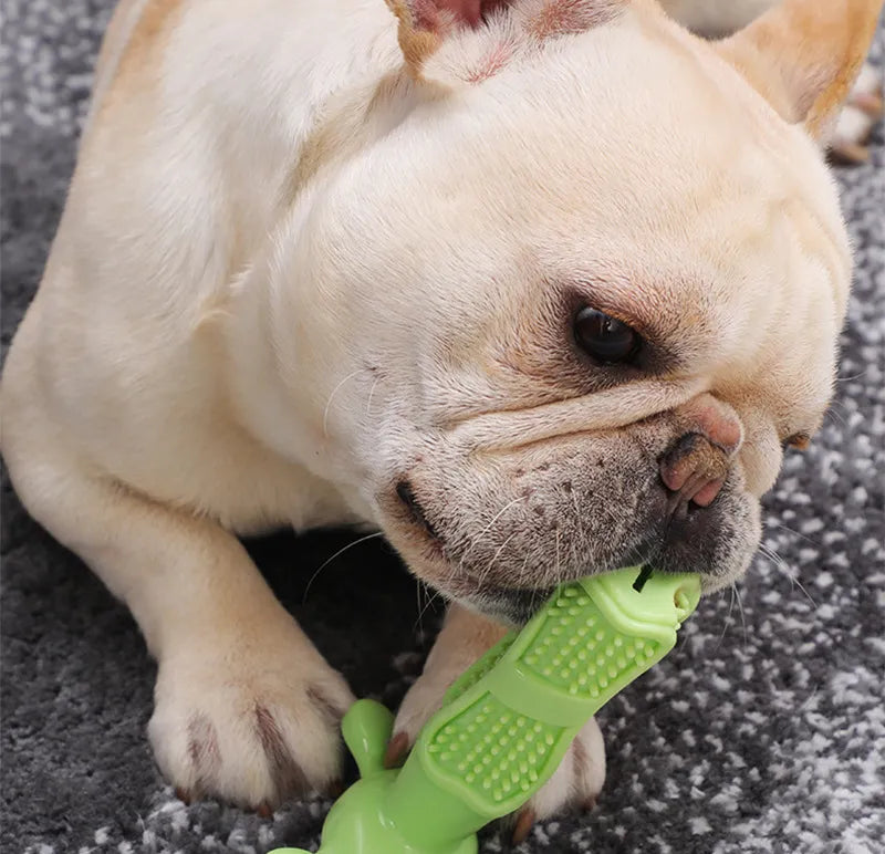 Toothbrush & Toy