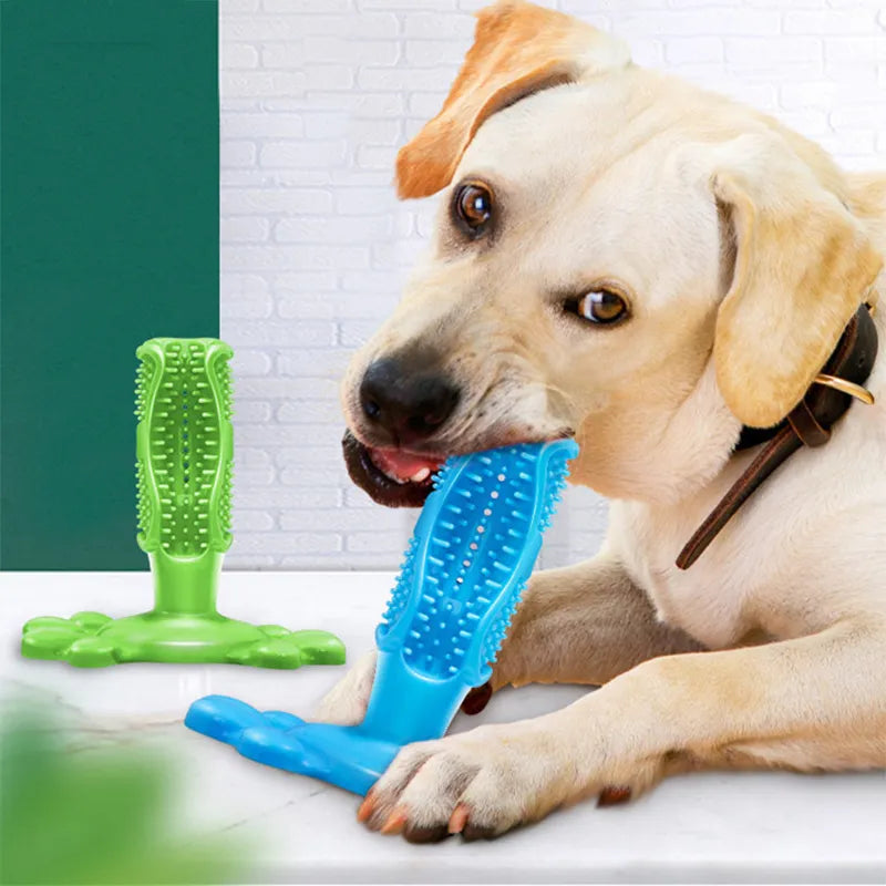 Toothbrush & Toy