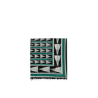 Lanvin Bicolor Wool Scarf