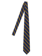 Polo Ralph Lauren Blue Silk Tie