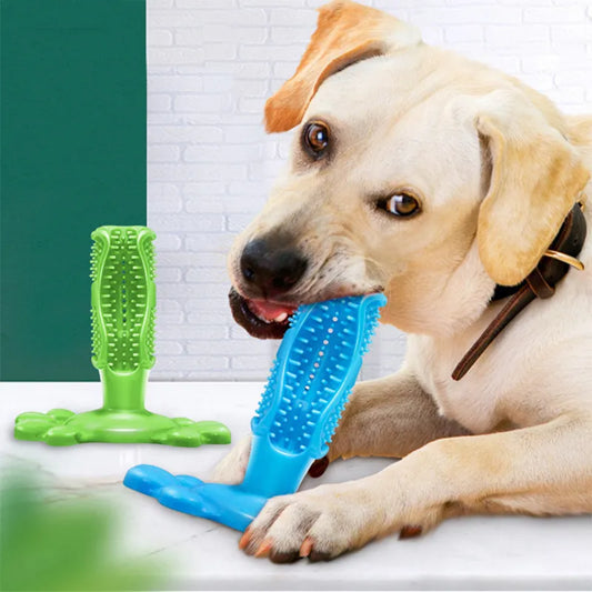 Toothbrush & Toy